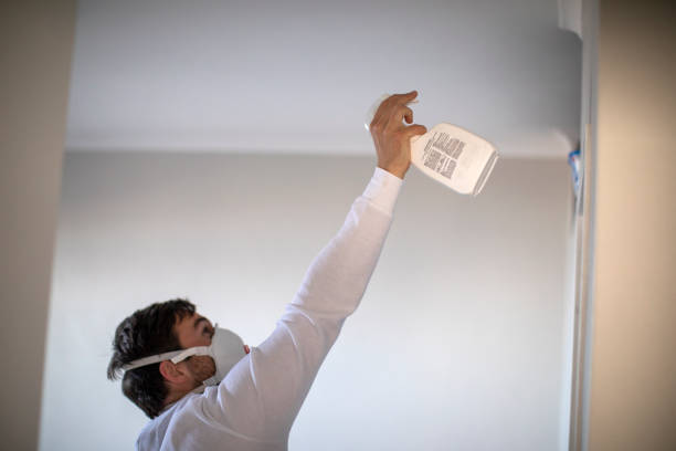 Best Home Mold Removal  in Maiden, NC