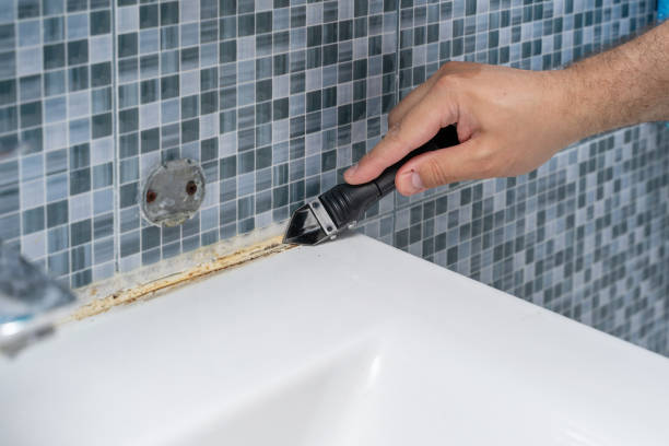 Home Mold Removal in Maiden, NC