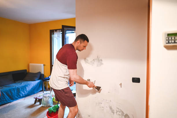Best Mold Damage Repair  in Maiden, NC